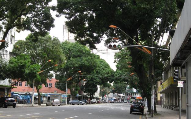 Mango trees lining Avenida Presidente Vargas in Belém