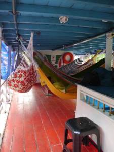 We look a bit like colorful larvae