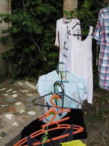 Ants use the laundry lines as thoroughfares. Maria Julia figured out that a lime leaf under every hanger cuts down on ant traffic because they don’t like the lime oil. She’s a genius.